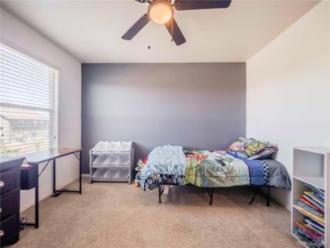 914 Charlton Drive Windsor CO 80550