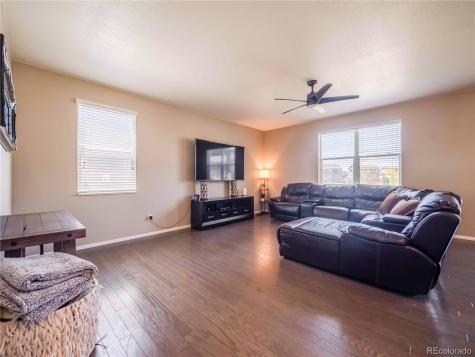 914 Charlton Drive Windsor CO 80550
