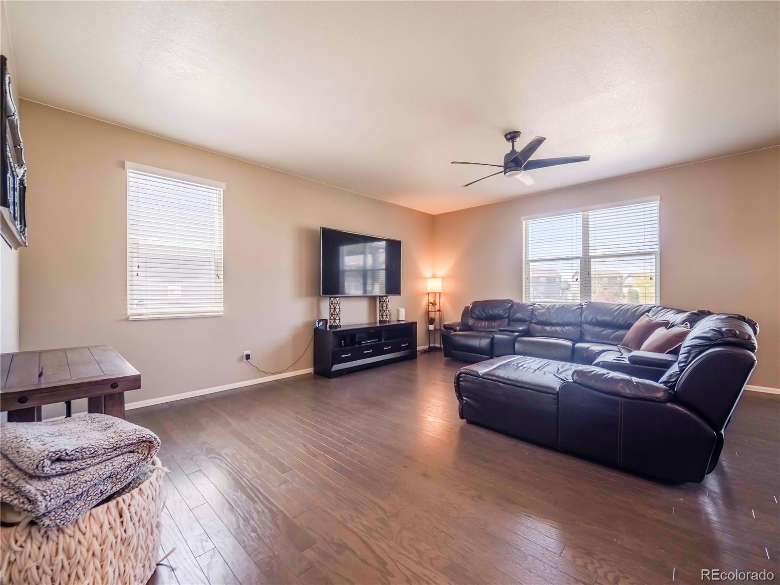 914 Charlton Drive Windsor CO 80550