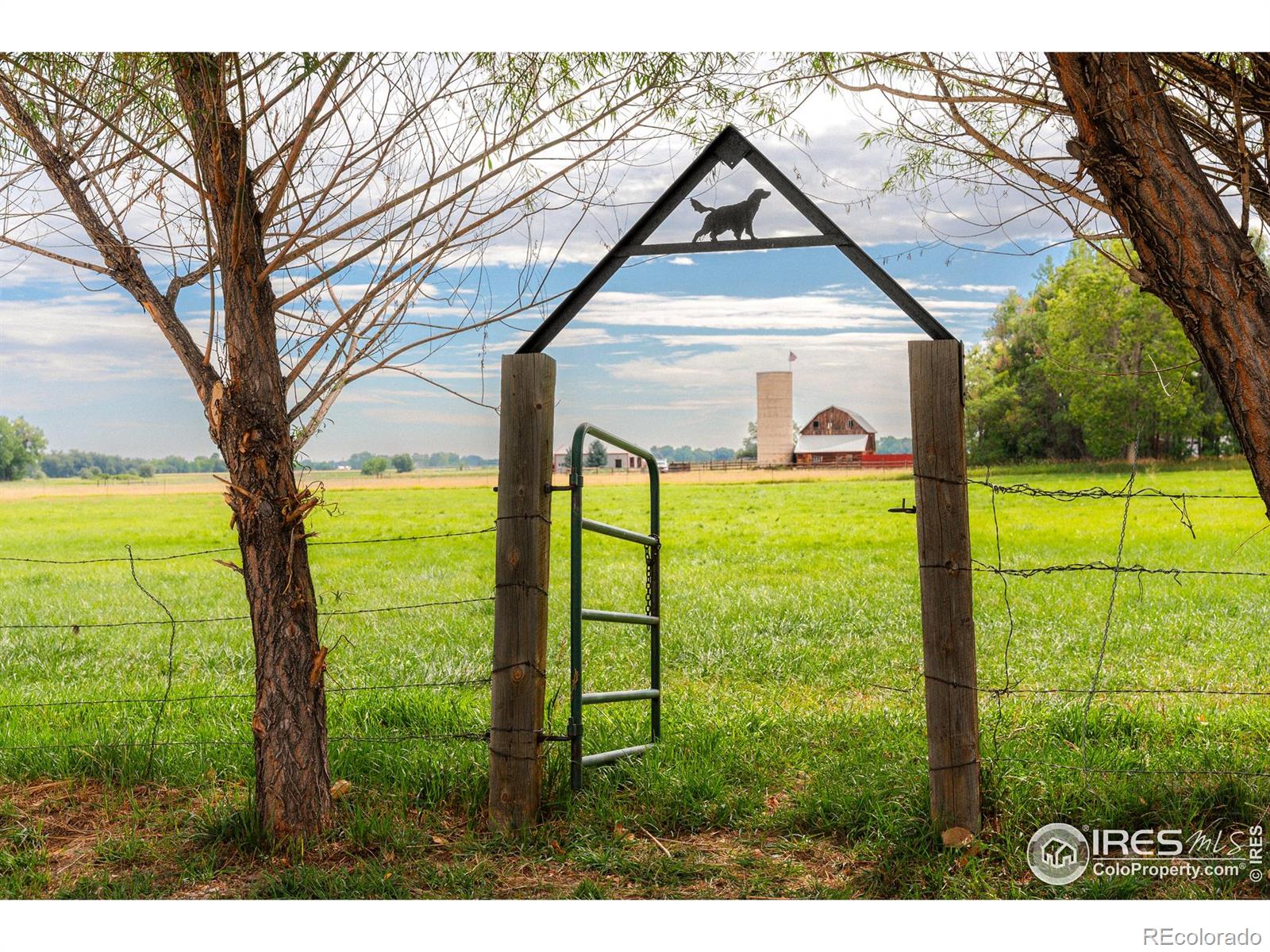 6789 Niwot Road Longmont CO 80503
