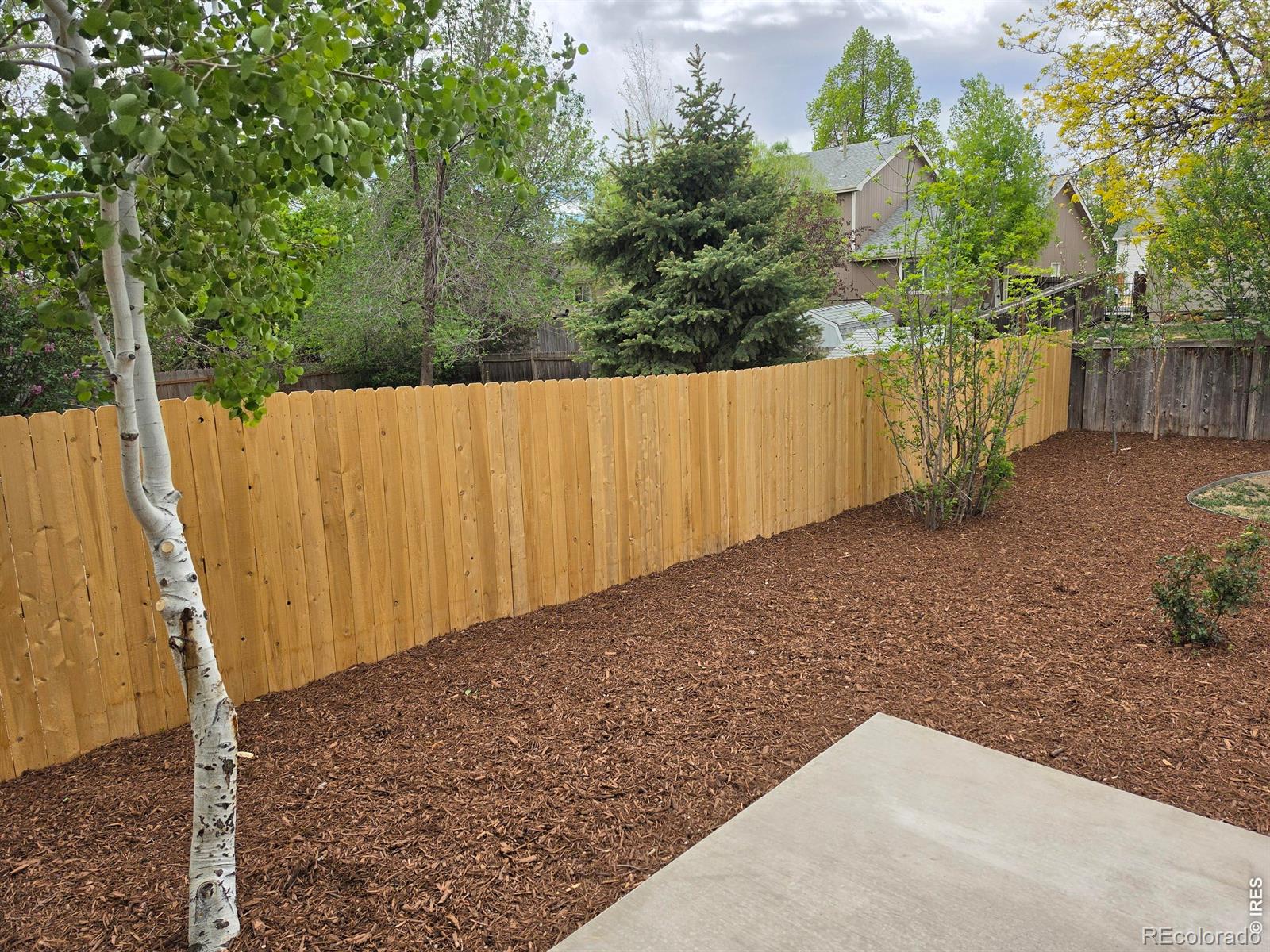 526 Suntrail Drive Loveland CO 80538