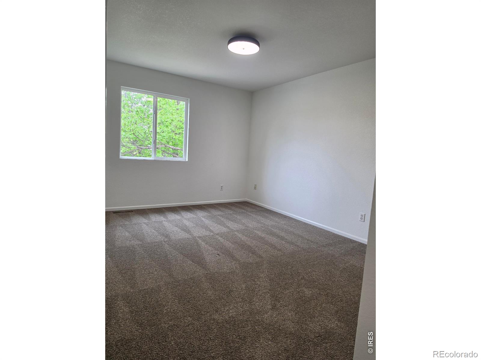 526 Suntrail Drive Loveland CO 80538