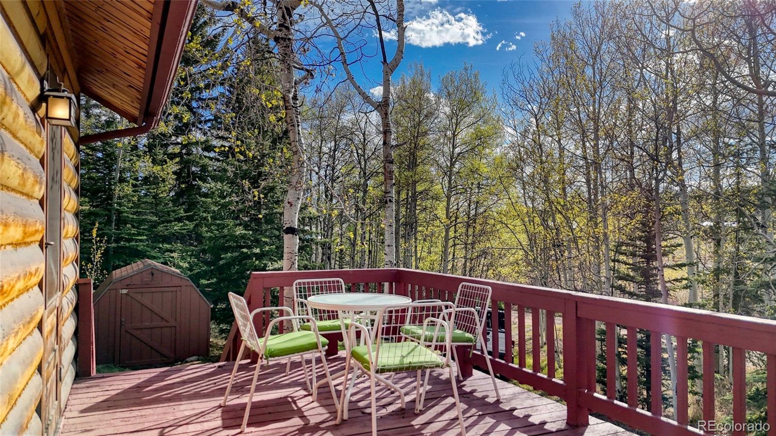128 Brook Drive Lake George CO 80827