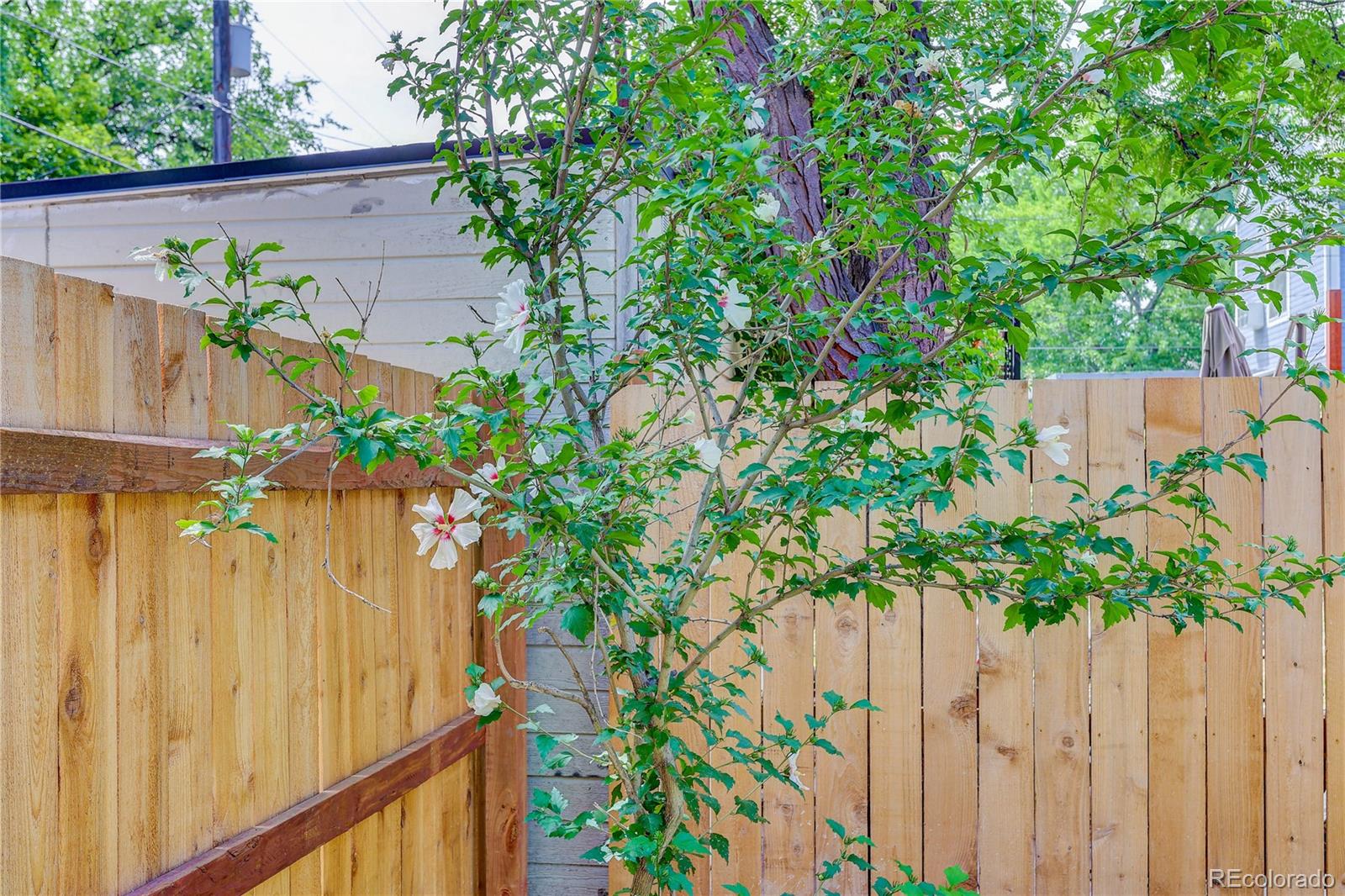 734 N Downing Street Denver CO 80218