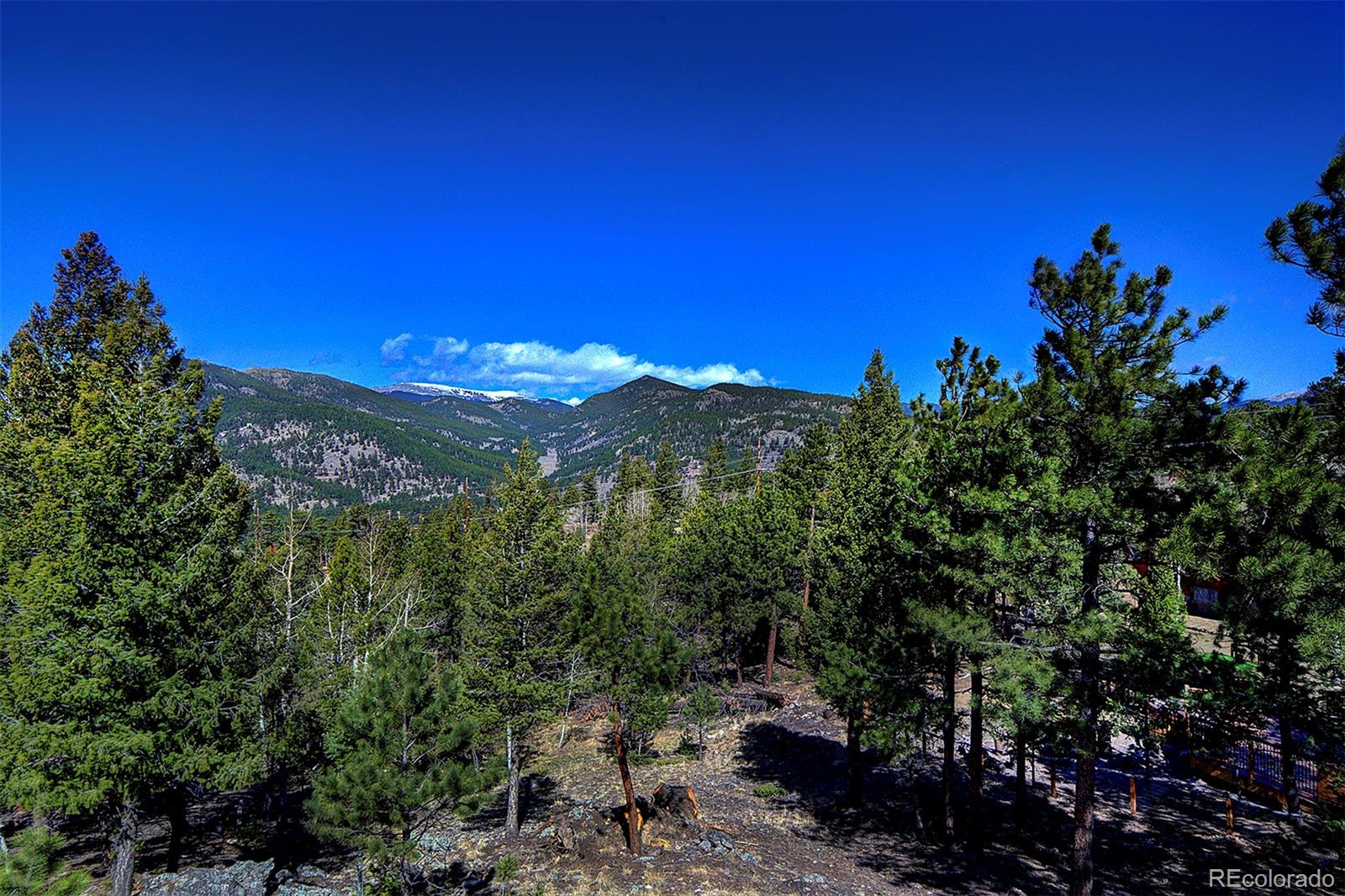 81 Fir Lane Bailey CO 80421
