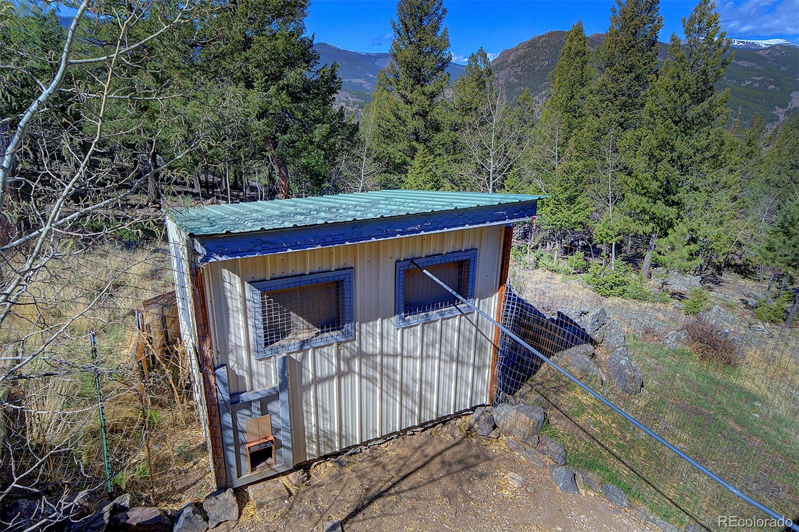 81 Fir Lane Bailey CO 80421