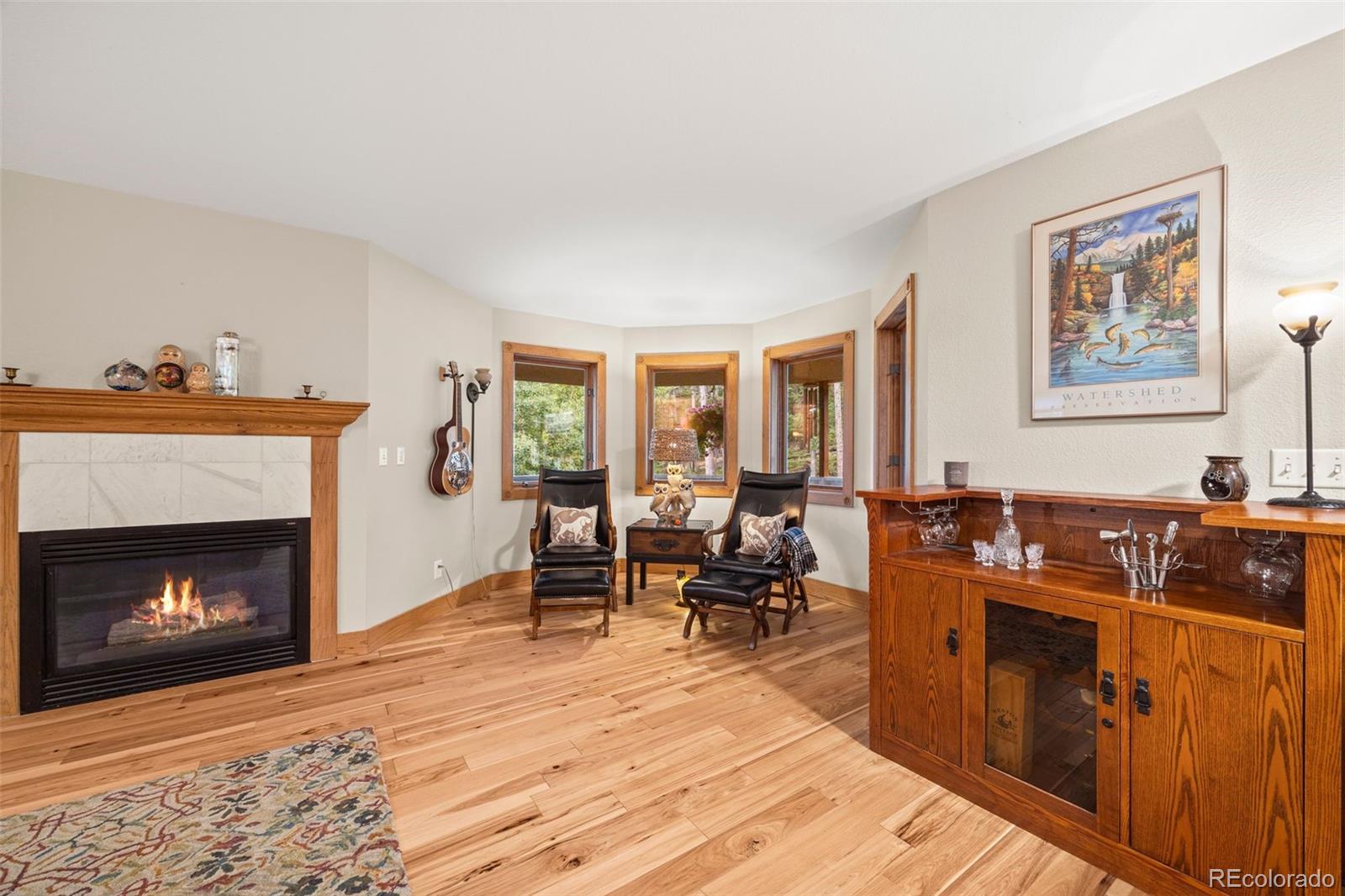 156 Shady Hollow Nederland CO 80466