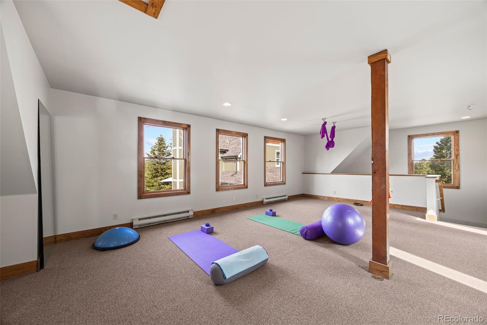 156 Shady Hollow Nederland CO 80466