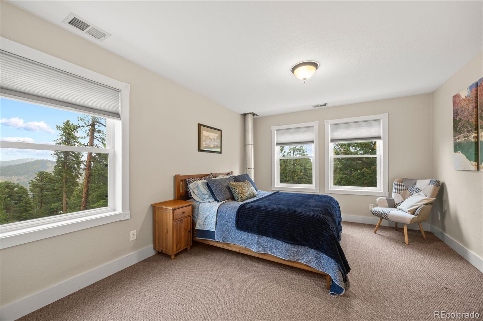 156 Shady Hollow Nederland CO 80466