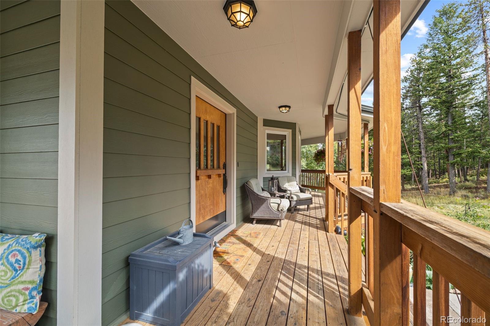 156 Shady Hollow Nederland CO 80466