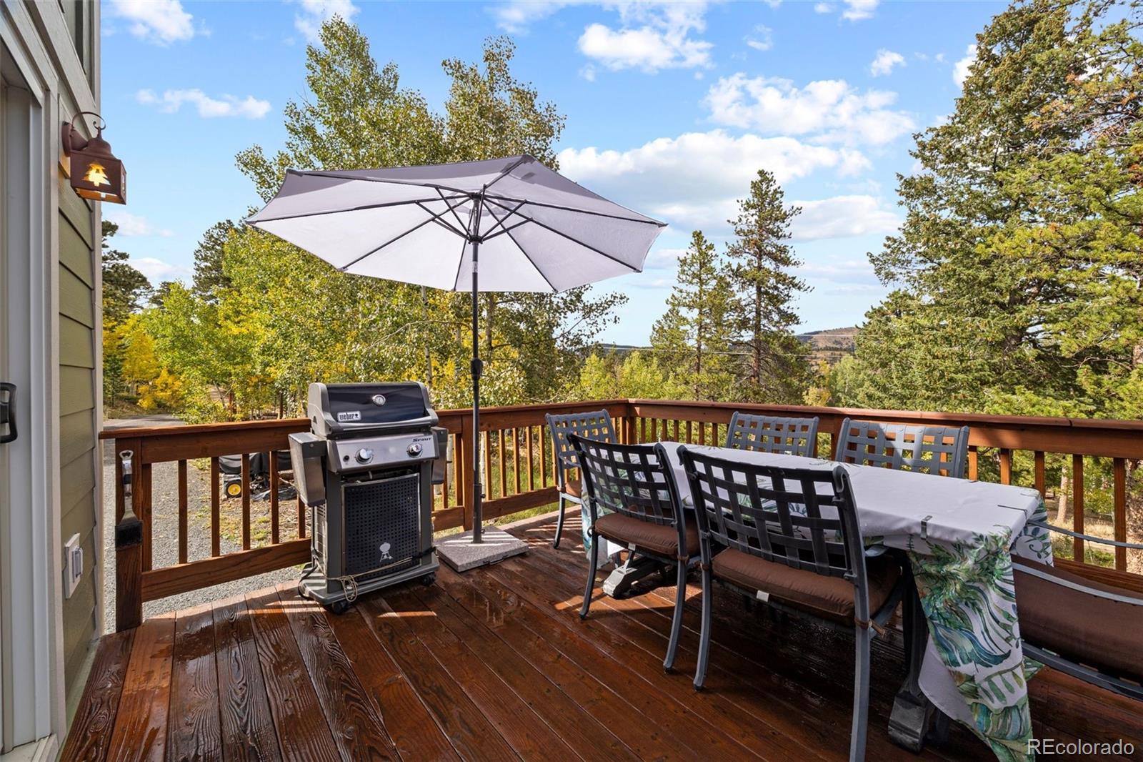 156 Shady Hollow Nederland CO 80466