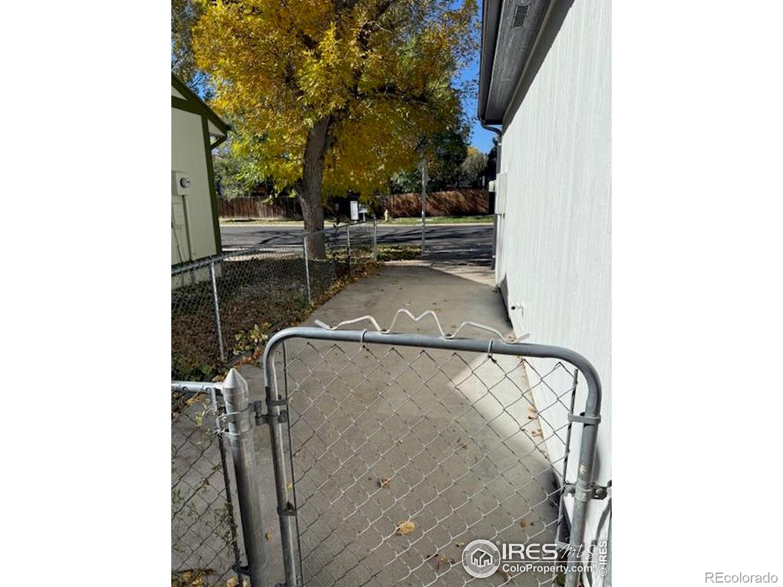 4436 Hollyhock Street Fort Collins CO 80526