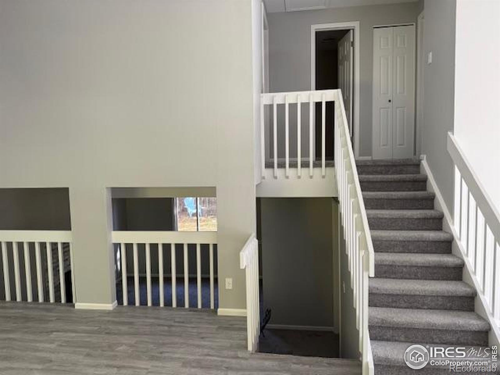 4436 Hollyhock Street Fort Collins CO 80526