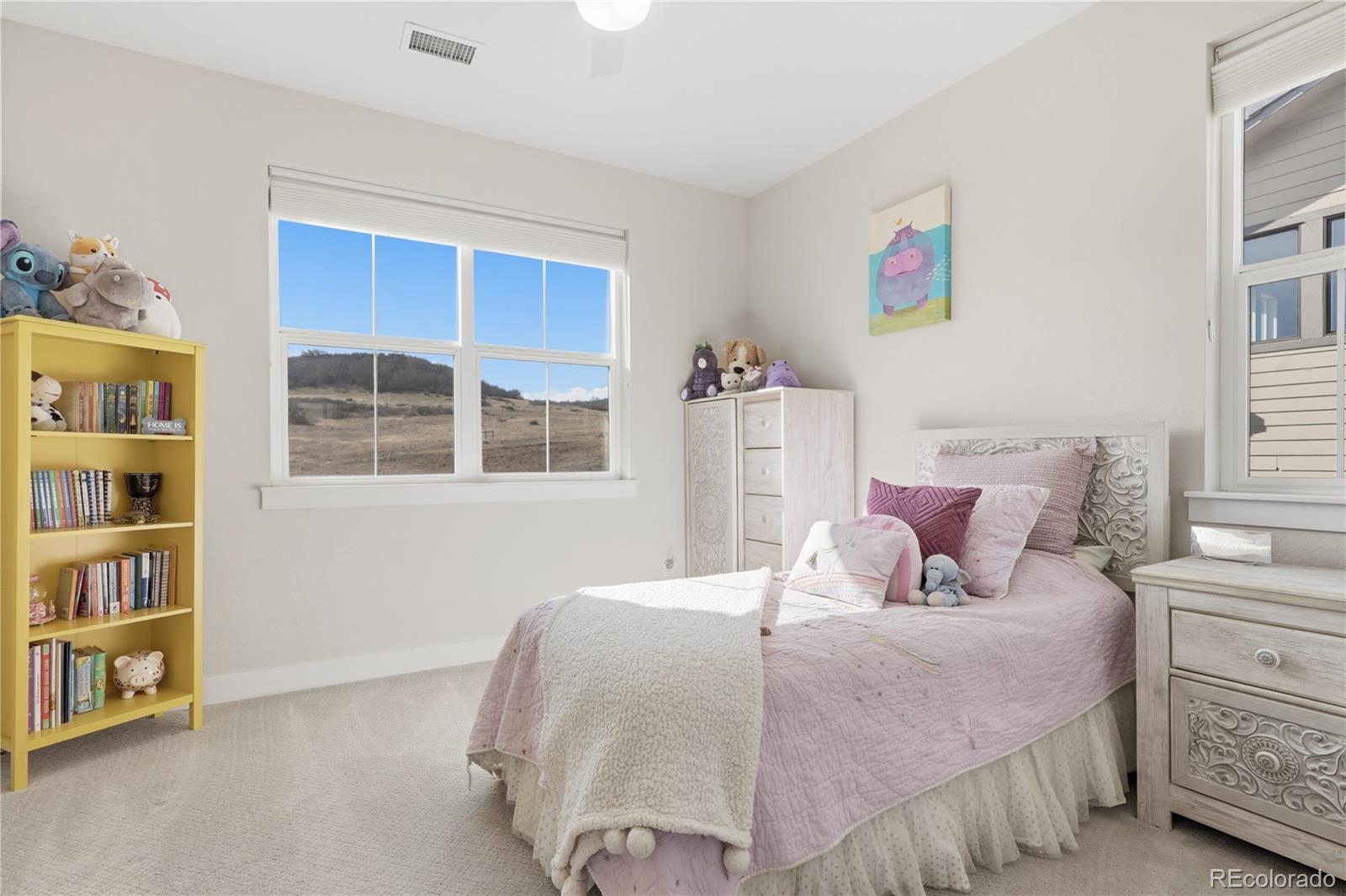 9625 Viewside Drive Lone Tree CO 80124