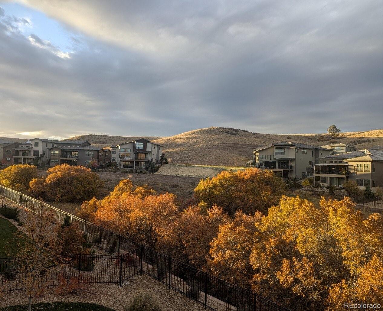 9625 Viewside Drive Lone Tree CO 80124