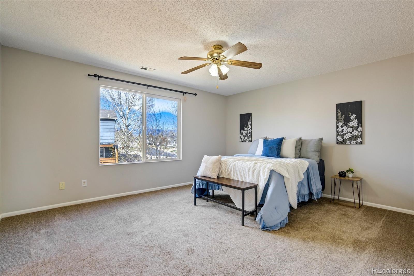 4364 Bronco Gulch Court Colorado Springs CO 80925