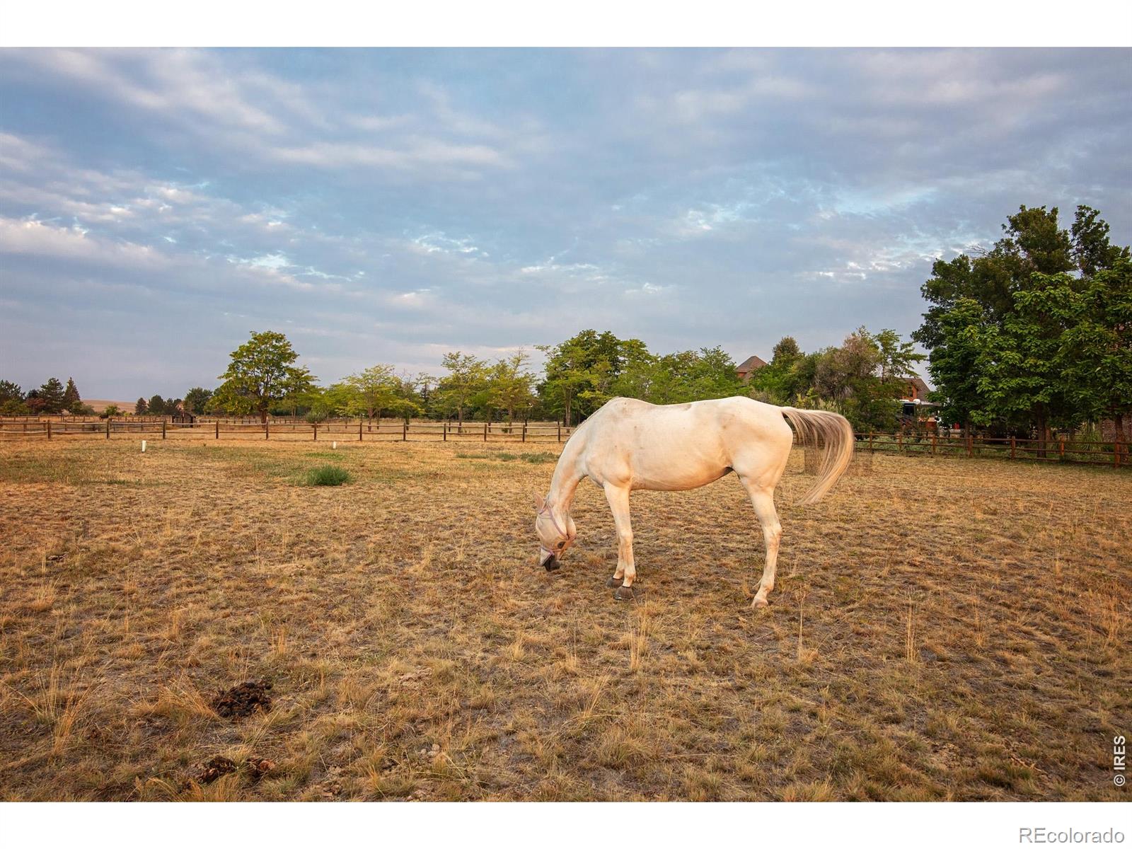 9421 Gunbarrel Ridge Road Boulder CO 80301