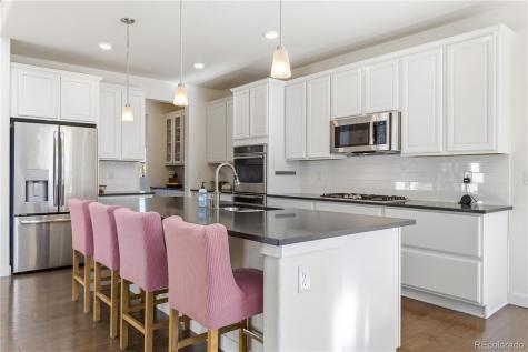 9720 Taylor River Circle Littleton CO 80125