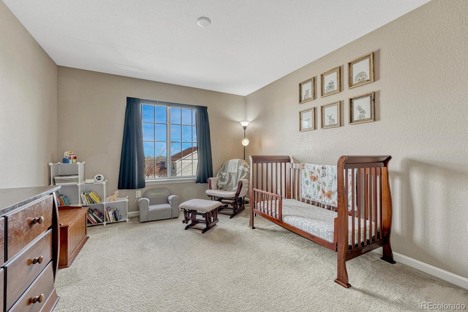 7516 Oasis Drive Castle Rock CO 80108