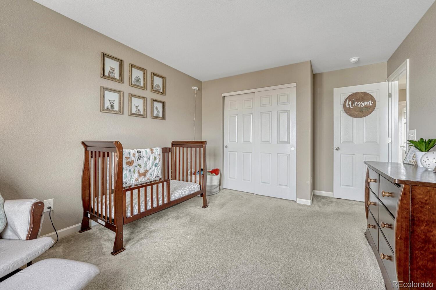 7516 Oasis Drive Castle Rock CO 80108