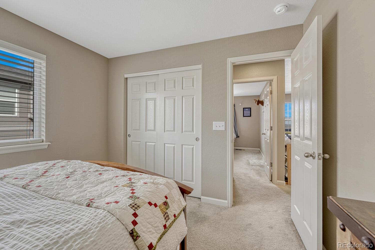 7516 Oasis Drive Castle Rock CO 80108