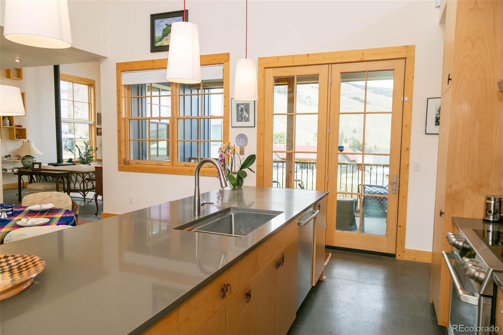 227 Bee Mcclure Drive Creede CO 81130