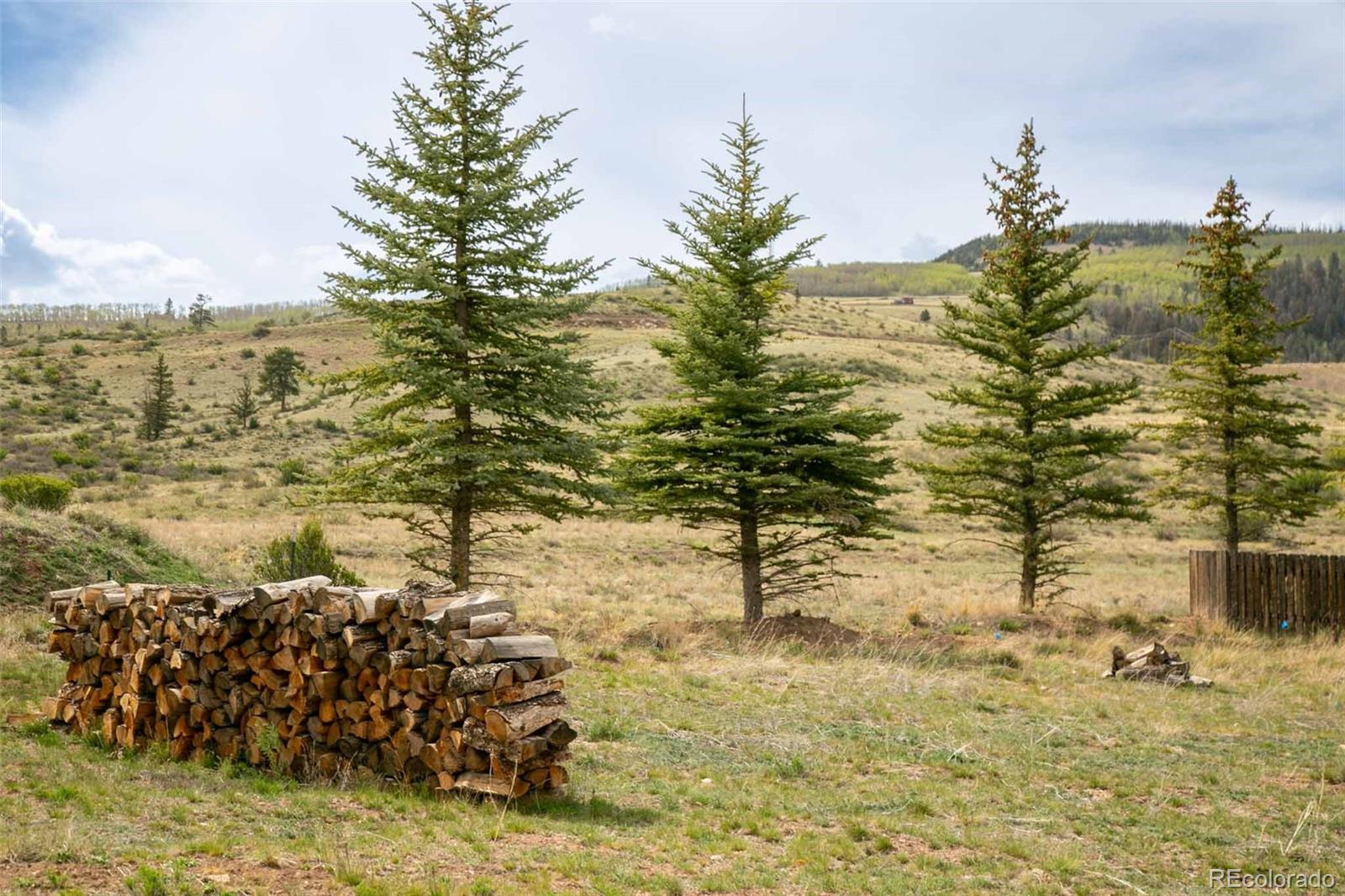 227 Bee Mcclure Drive Creede CO 81130