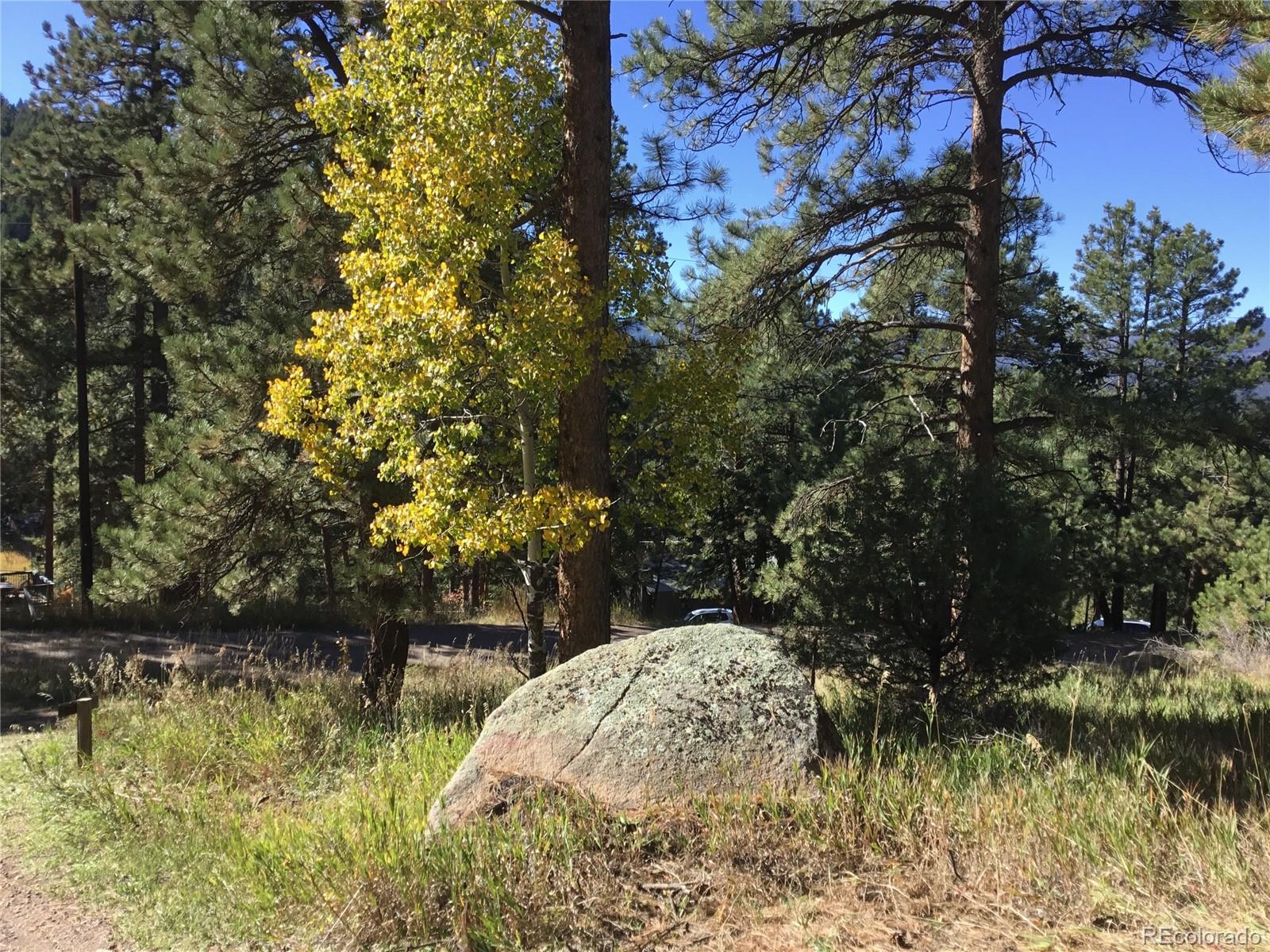 26130 Edelweiss Circle Evergreen CO 80439