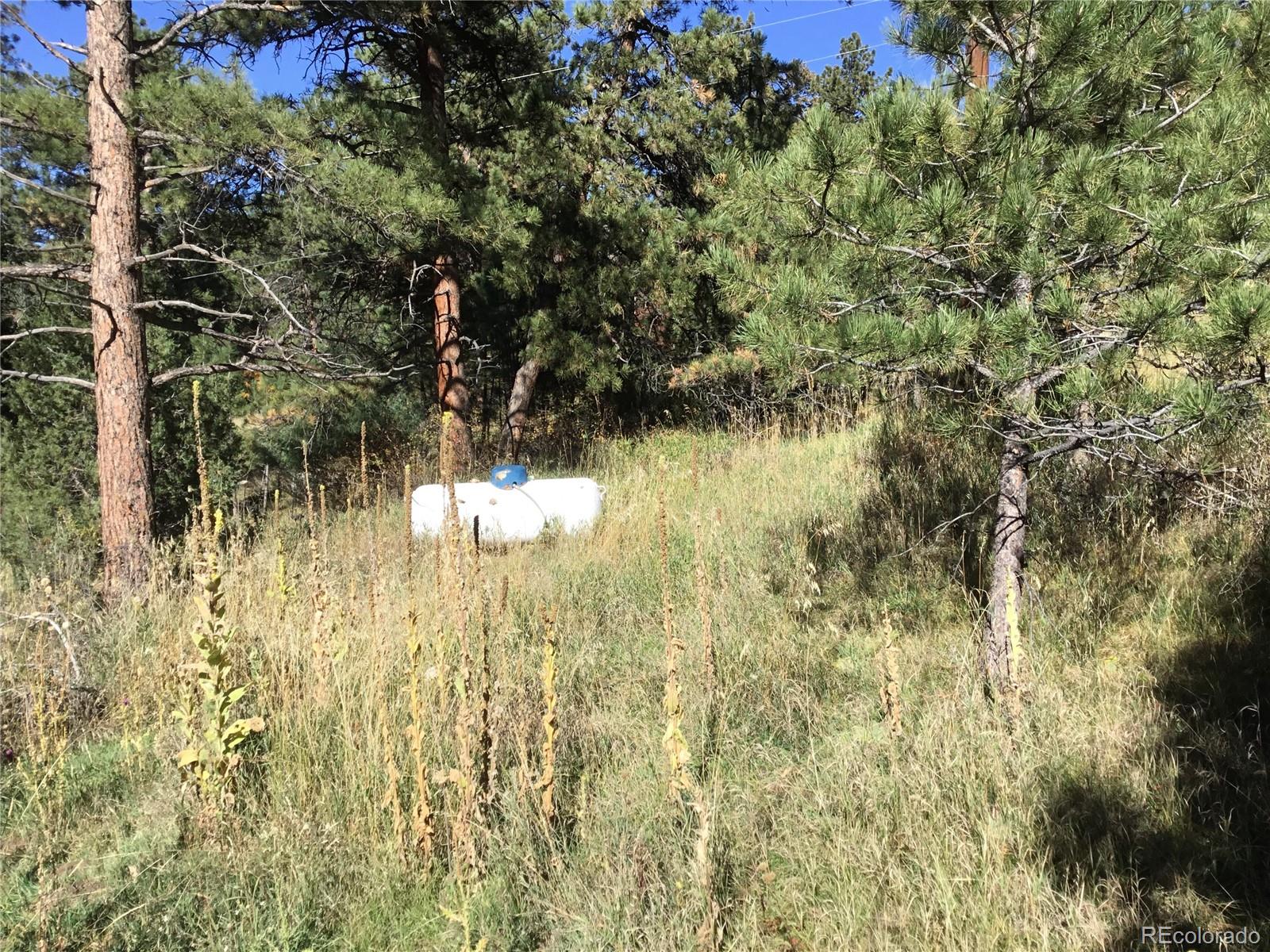 26130 Edelweiss Circle Evergreen CO 80439