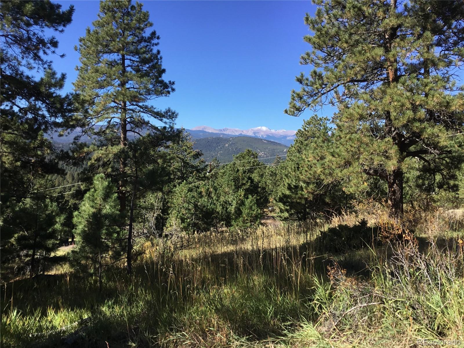26130 Edelweiss Circle Evergreen CO 80439