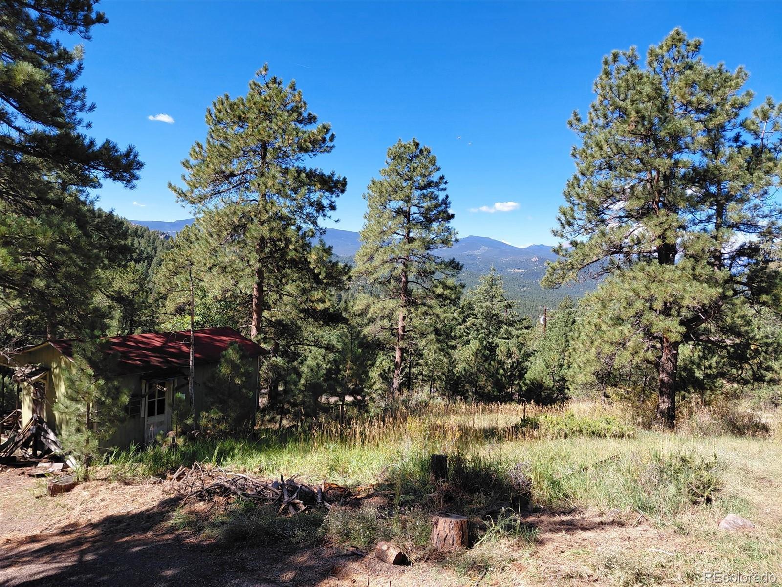26130 Edelweiss Circle Evergreen CO 80439