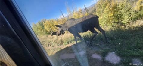 45 County Road 8751 Granby CO 80446