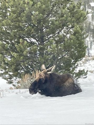 45 County Road 8751 Granby CO 80446