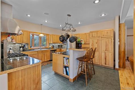 64 Baby Doe Drive Leadville CO 80461