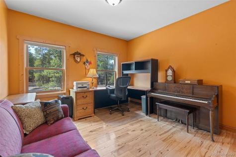 64 Baby Doe Drive Leadville CO 80461