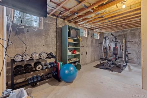 64 Baby Doe Drive Leadville CO 80461