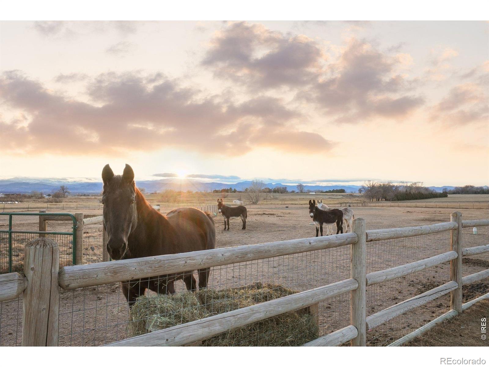 2345 N County Road 3 Fort Collins CO 80524