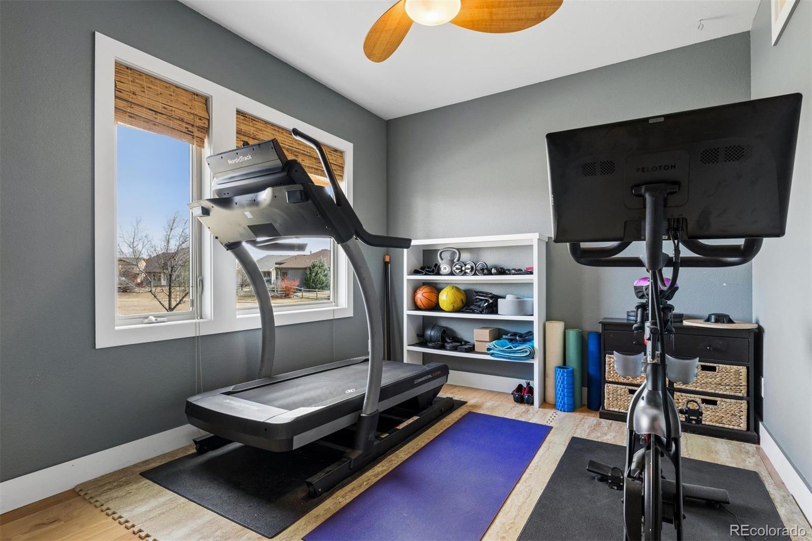 815 San Pedro Drive Fort Collins CO 80524