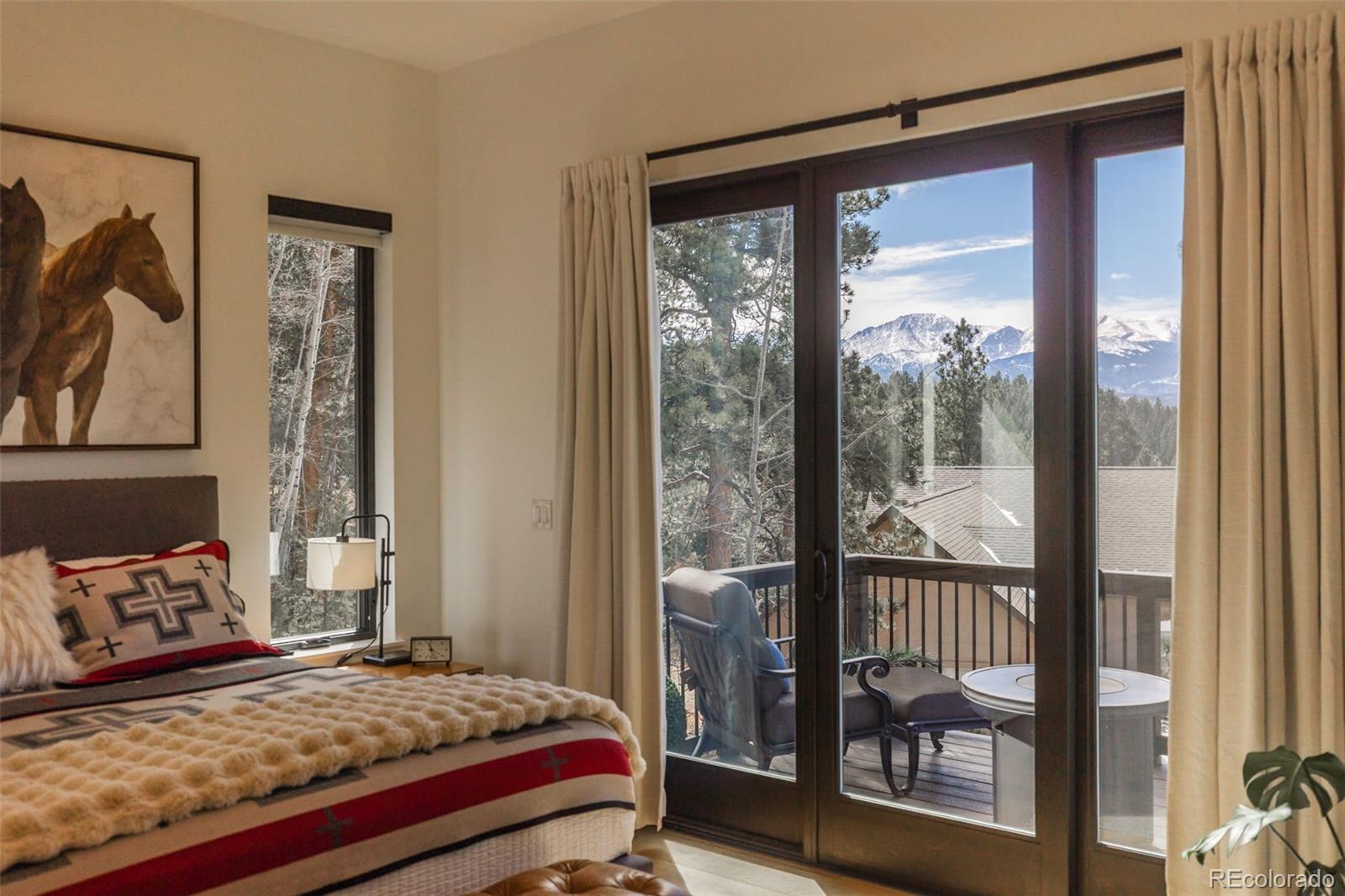1005 Locklin Way Woodland Park CO 80863