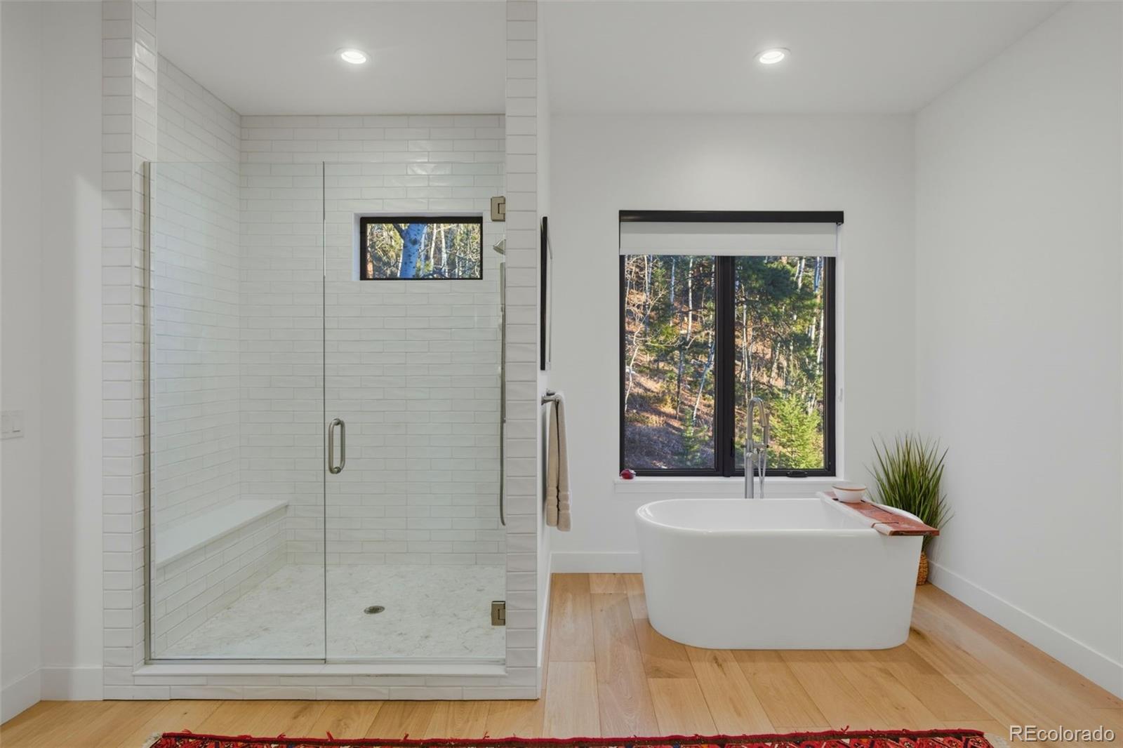 1005 Locklin Way Woodland Park CO 80863