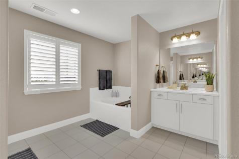 4423 Mcmurdo Court Castle Rock CO 80108