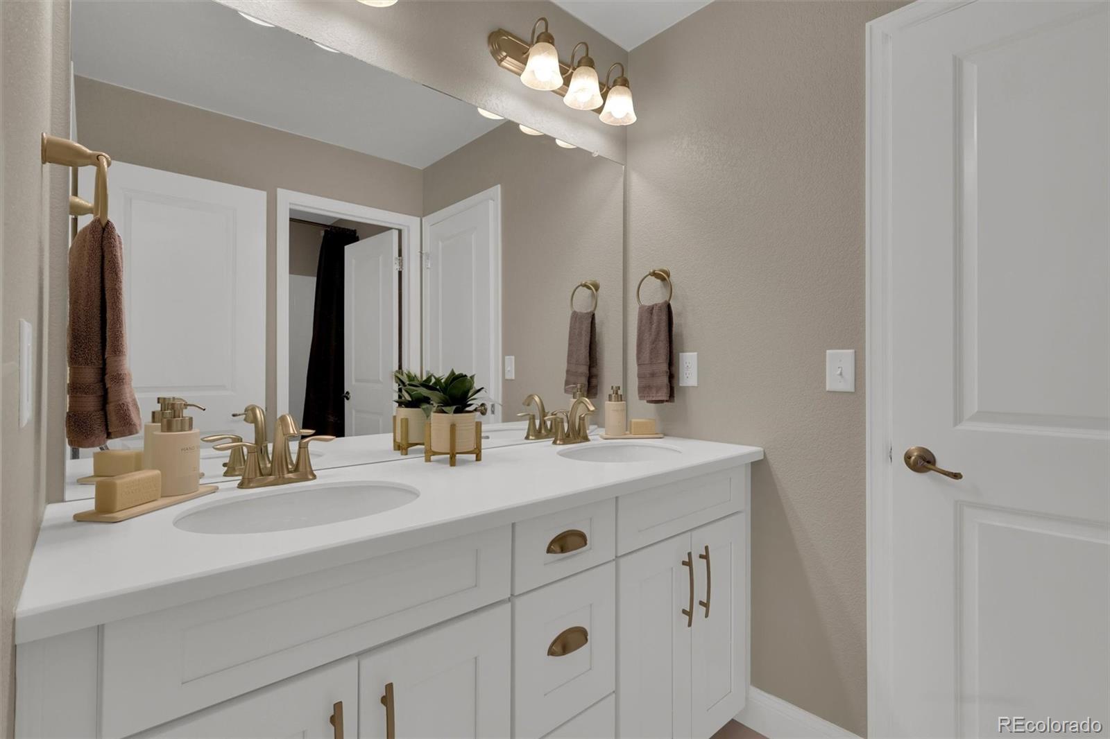 4423 Mcmurdo Court Castle Rock CO 80108
