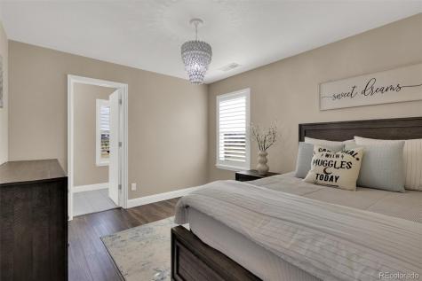 4423 Mcmurdo Court Castle Rock CO 80108