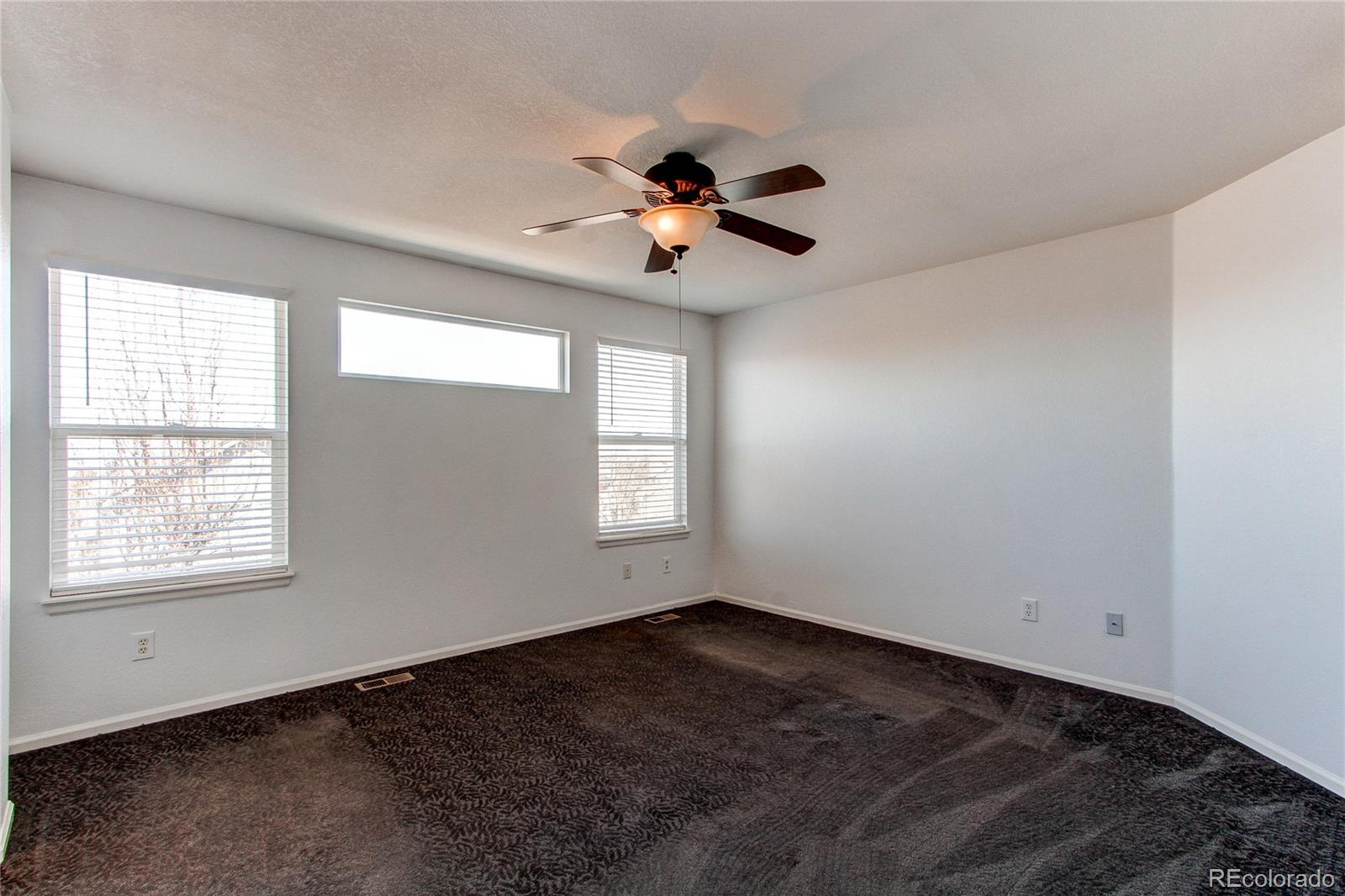 10486 Cheetah Winds Lone Tree CO 80124