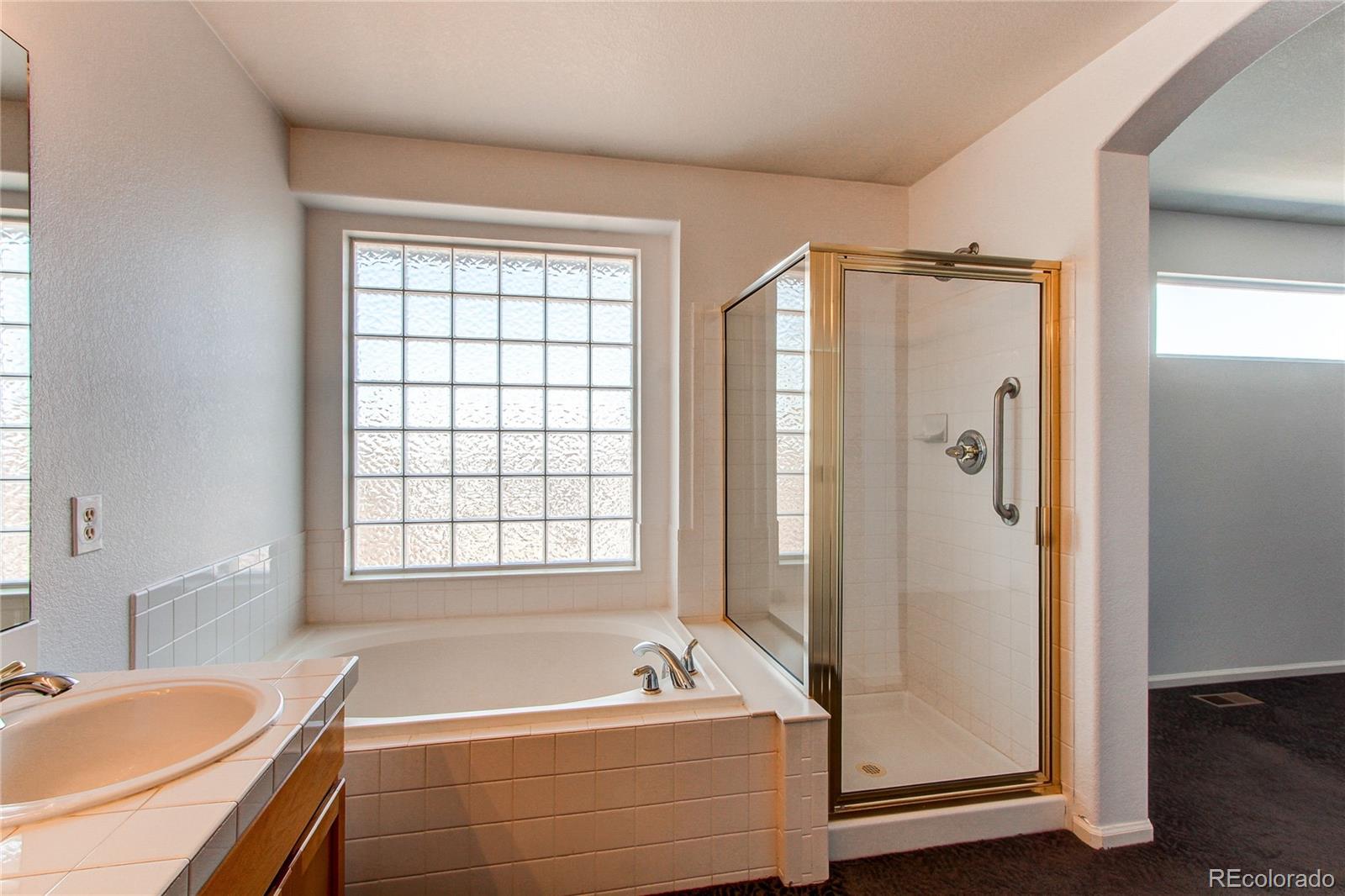 10486 Cheetah Winds Lone Tree CO 80124