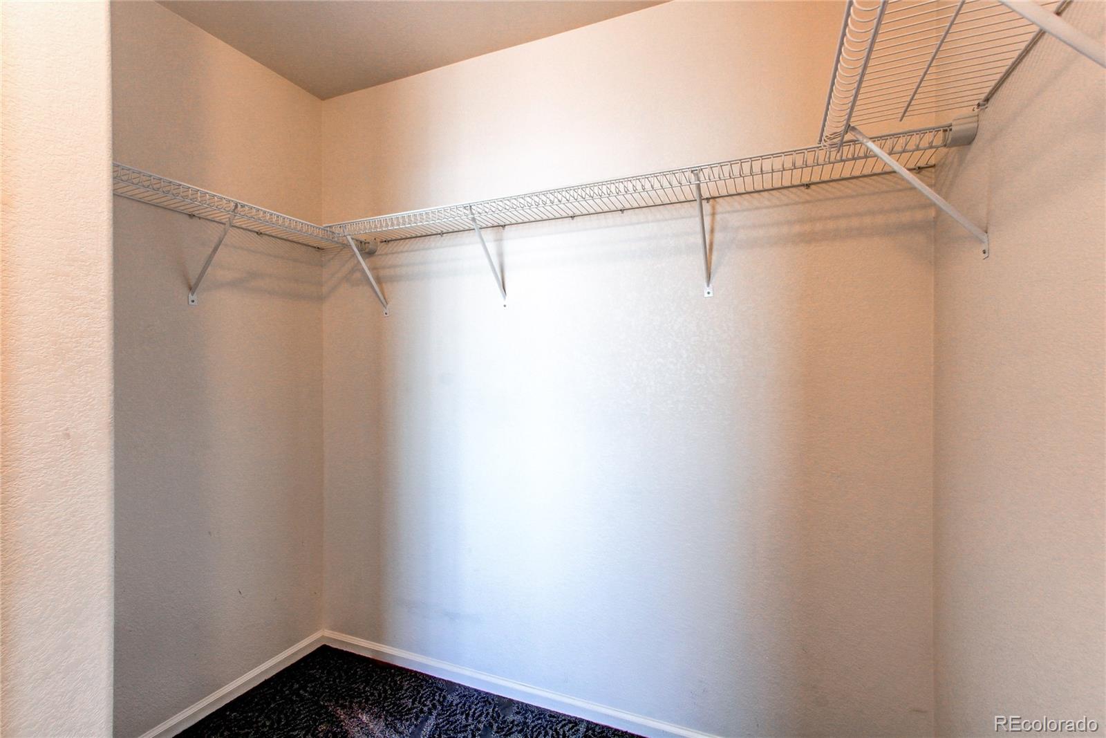 10486 Cheetah Winds Lone Tree CO 80124