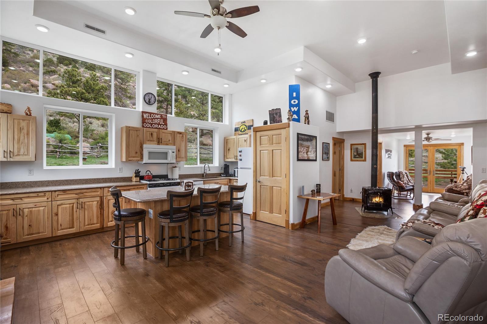 437 Langnis Road Guffey CO 80820