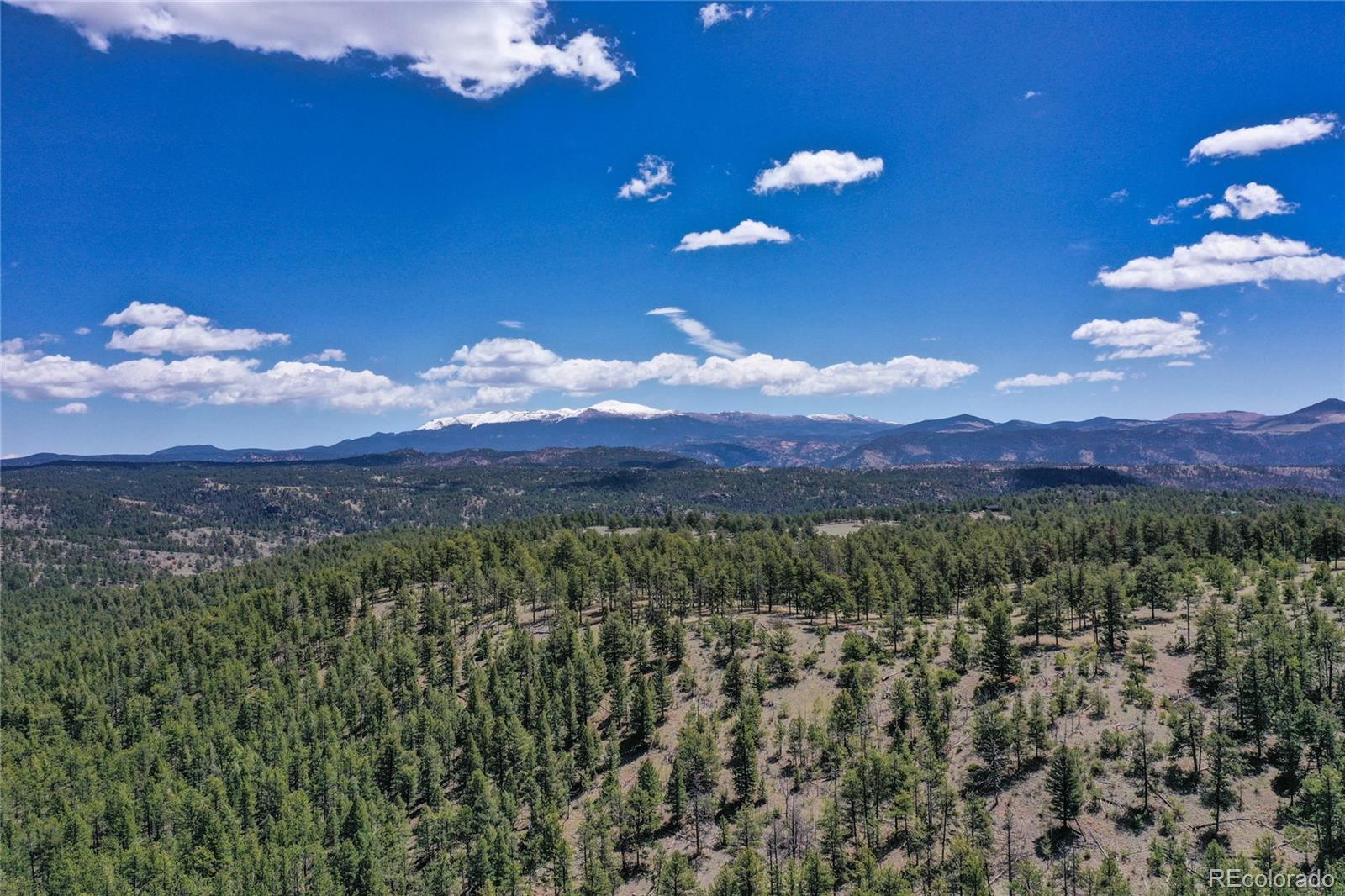 437 Langnis Road Guffey CO 80820