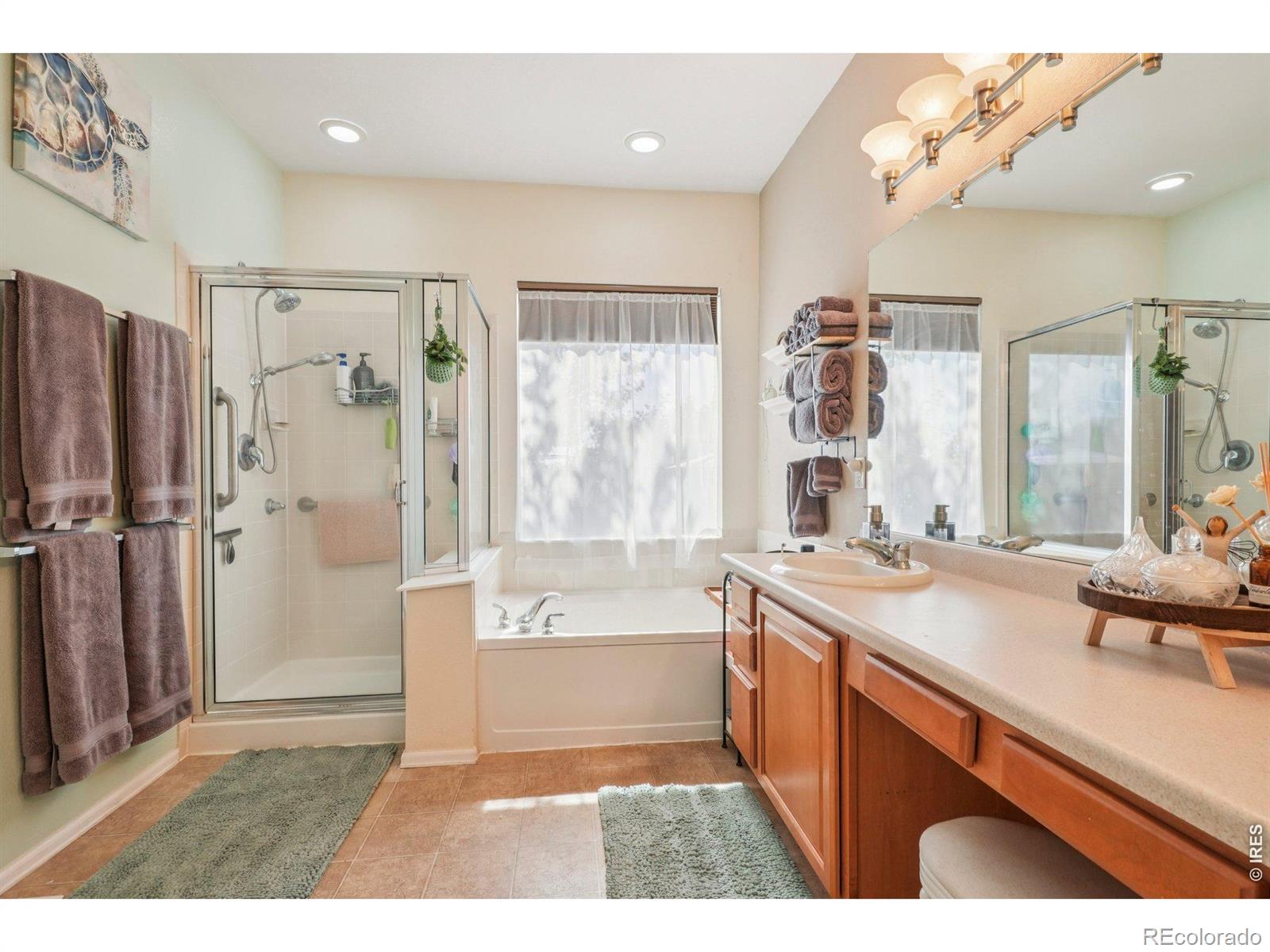 256 Homestead Way Brighton CO 80601