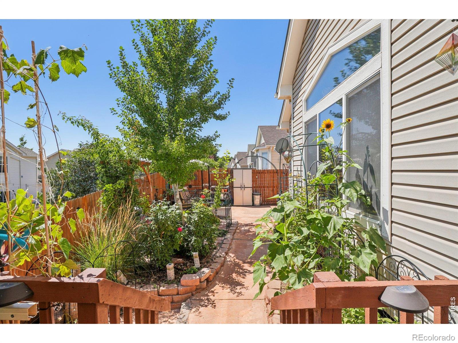 256 Homestead Way Brighton CO 80601